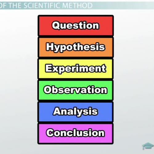 The Scientific Method - Steps, Terms and Examples