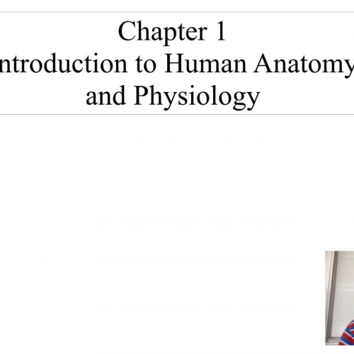 Introduction to anatomy and physiology