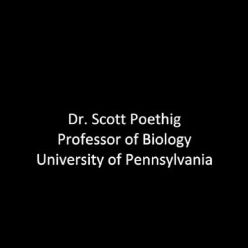 NIGMS Grantee Dr. Scott Poethig on Teaching Food Biology