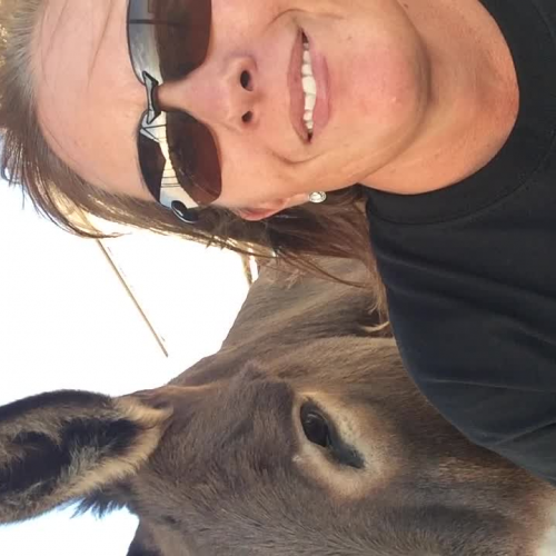 Alg 1 challenge with MRs. Fincke