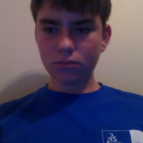 3.02 Describe the Family Visual Presentation