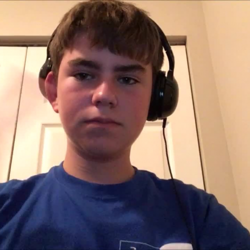 3.02 Describing the Family Visual Presentation