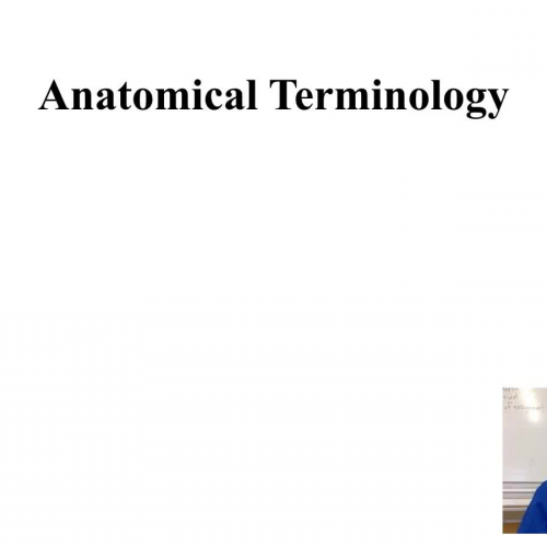 Anatomical Terminology