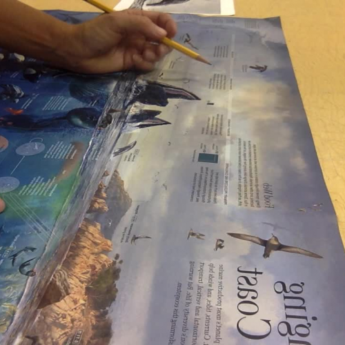 Developing the ink drawing