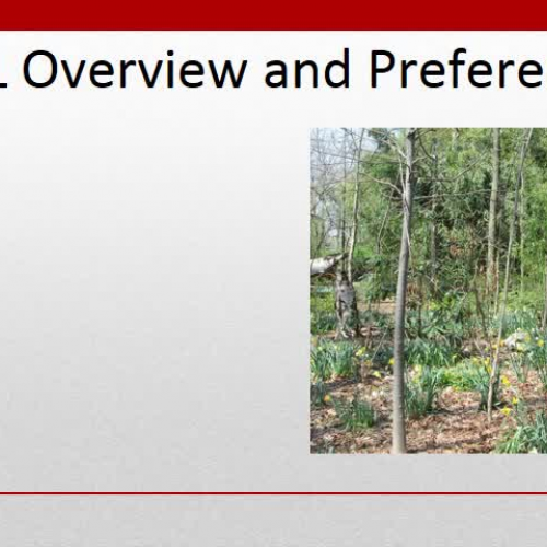 CTPL Overview and Preferences