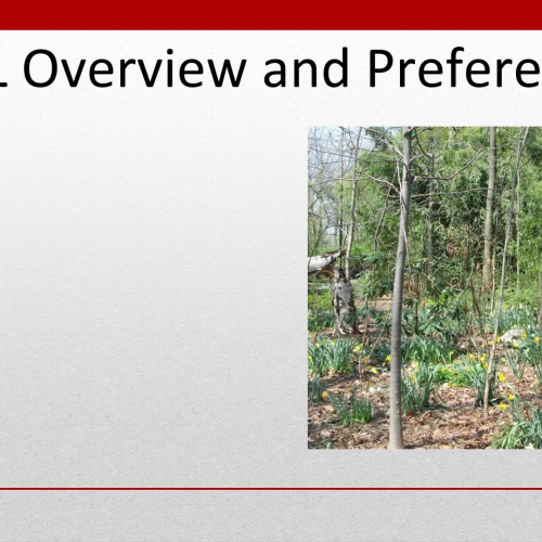 CTPL Overview and Preferences