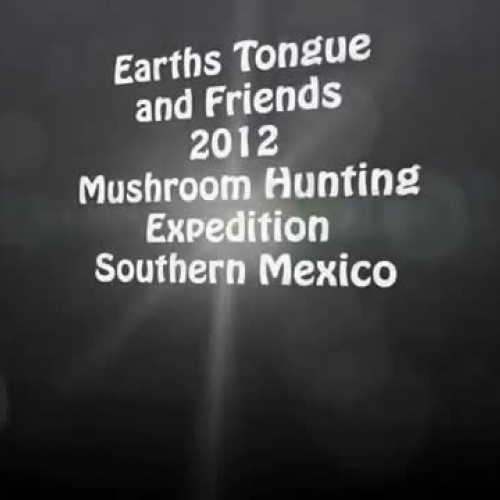 Earth's Tongue Mushroom Hunting Expedition in Mexico 2012