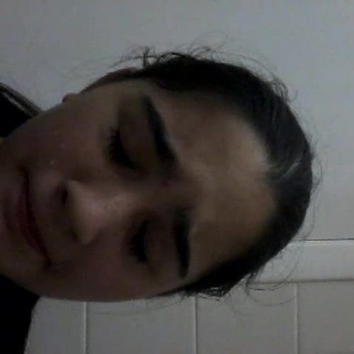 3.02 Describe The Family Visual Presentation