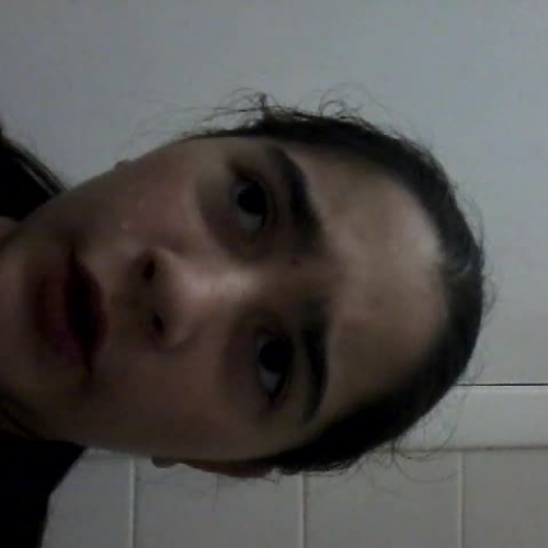 3.02 Describe The Family Visual Presentation