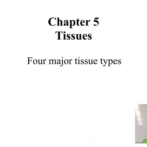 Introduction to Tissues