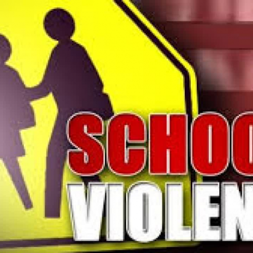 School Violence Overivew Training