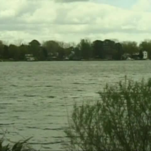 The making of the Colonies: The Southern Colonies