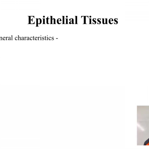 Epithelial Tissues