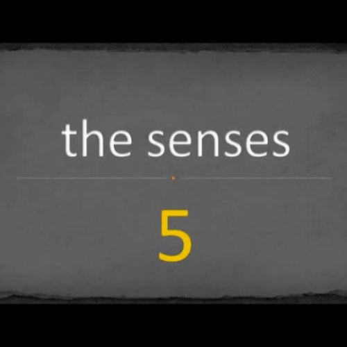 The Five Senses