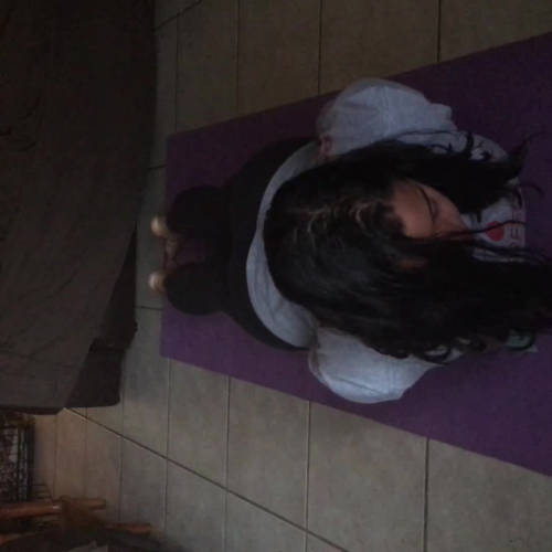 01.03 Fitness Assessment Video Submission