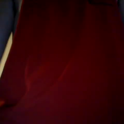 3.02 Describe the Family Visual Presentation 