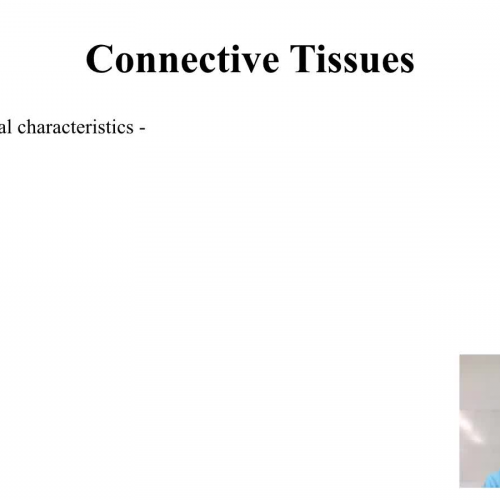 Connective Tissues