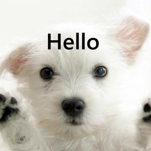 best powerpoint presentation template - power point presentation portfolio 