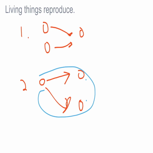 Chapter 1.3 Lesson - Scientific Methodology
