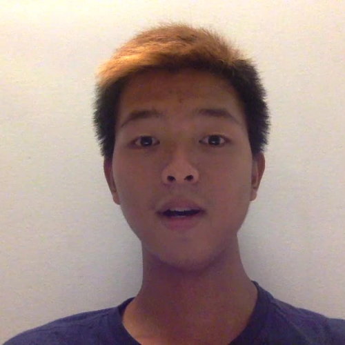 03.02 Describe the Family Visual Presentation