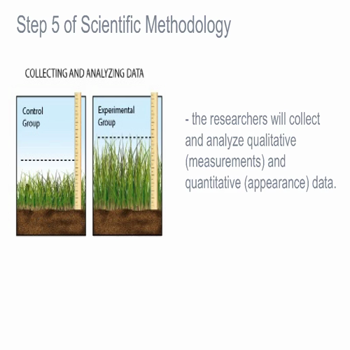 Scientific Methodology Lesson - A Controlled Experiment
