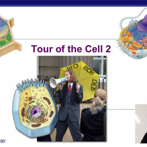 Cell Jobs 2 Making Energy Part 1