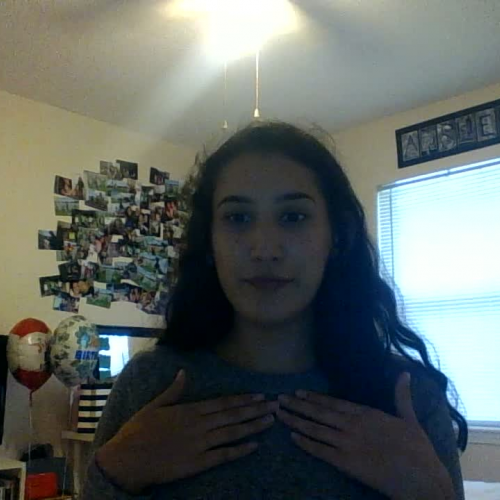 03.02 Describe the Family Visual Presentation