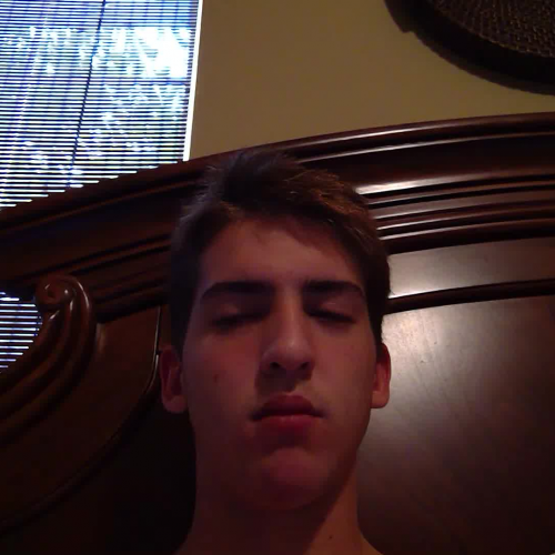 3.02 Describe The Family Visual Presentaion