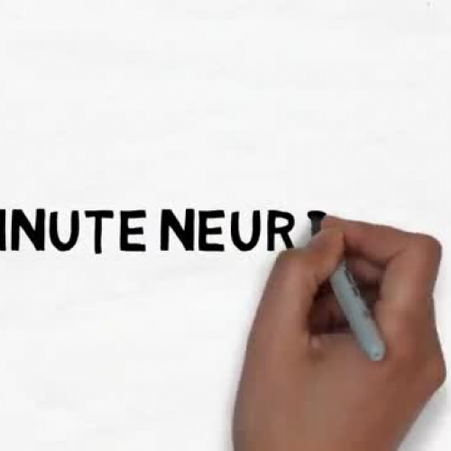 2 Minute Neuroscience: The Neuron 