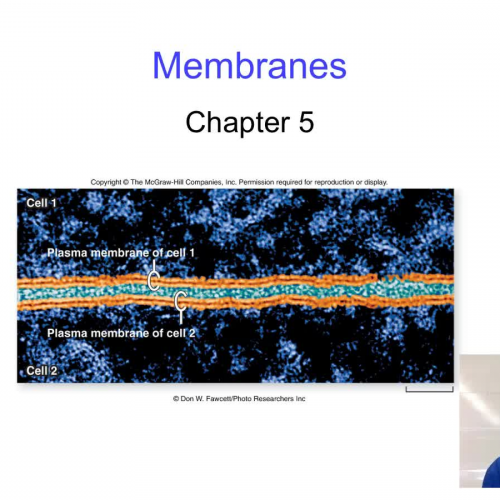 Cell Membrane Structure