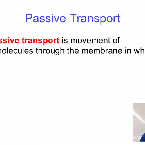 Passive Transport 