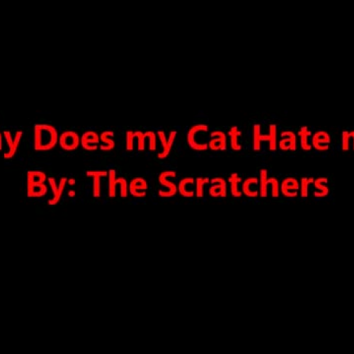 The Scratchers