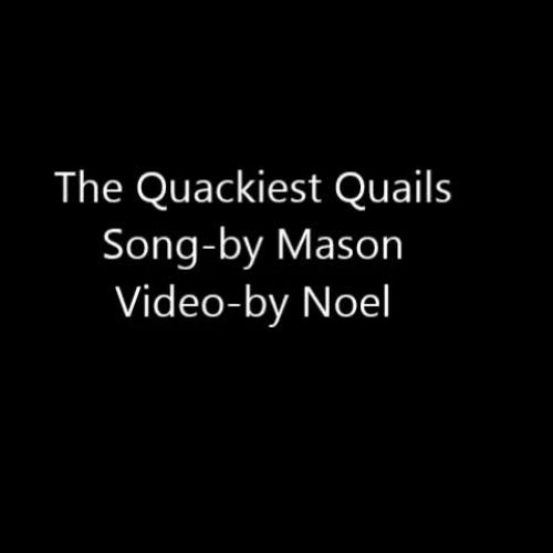 The Quackiest Quails