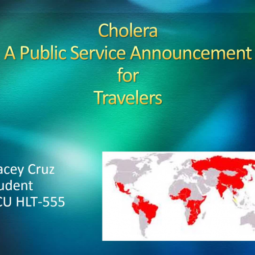 Cruz HLT-555 PSHA Assignment