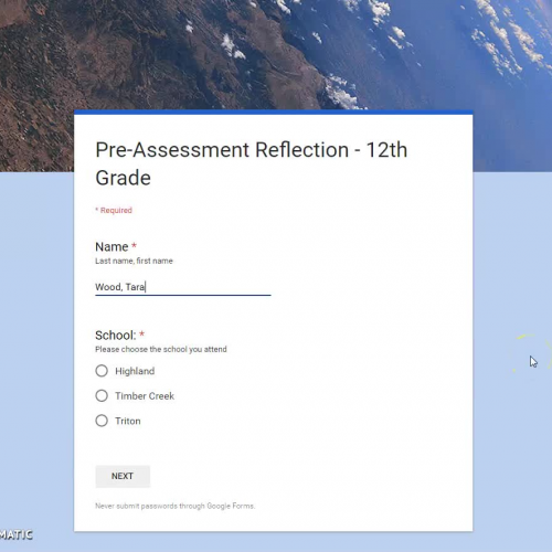 Reflection Form Preview & Overview