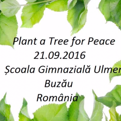 Plant a Tree for Peace
