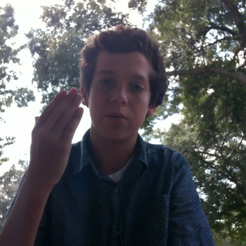  3.02 Describe Family Visual Presentation (Sam Romine)