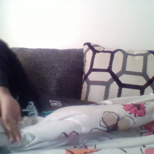 3-2 describe the family visua presentation  