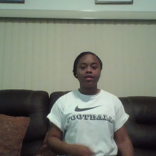 3.02 describe the family visual presentation 