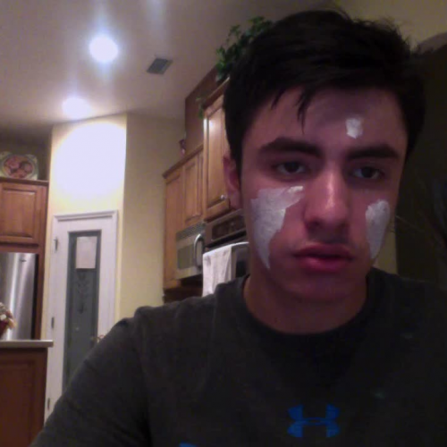 3.02 Describe the Family Presentation