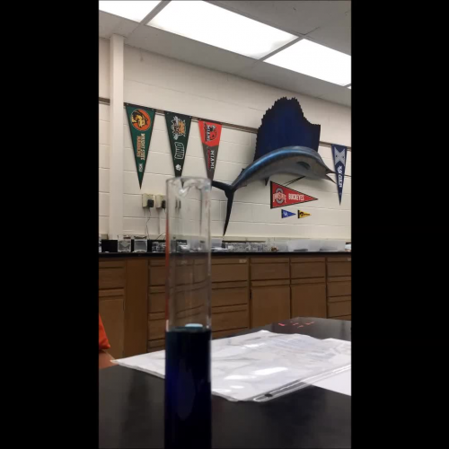 Rainbow density lab