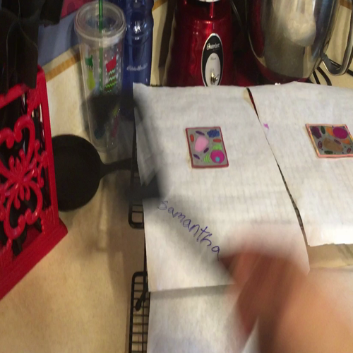 Plant and animal cells shrinky dinks