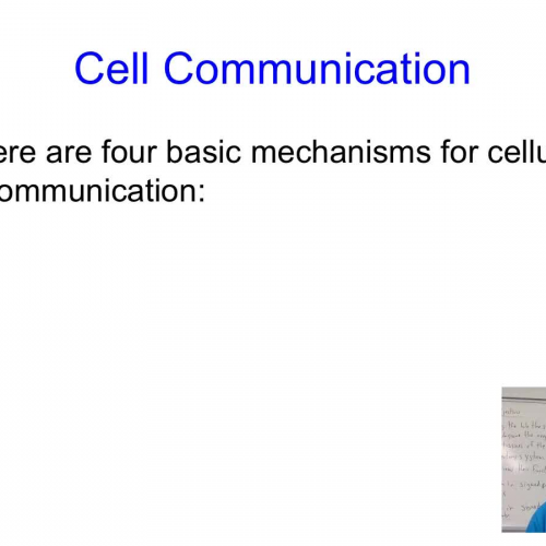 Cellular communication part 2