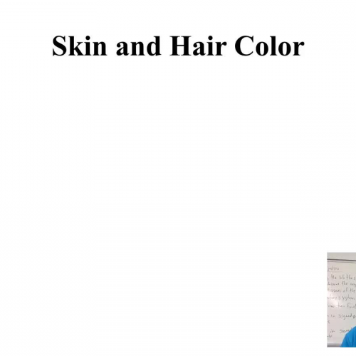 Skin and Hair color