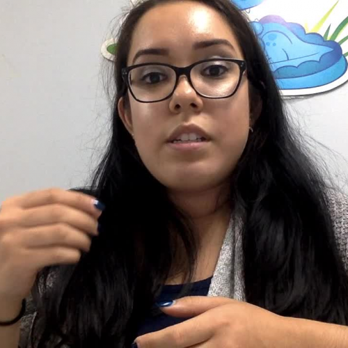 Reading Comprehension: Reading Reflection Pauses