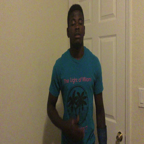 03.02 Describing the family visual presentation 