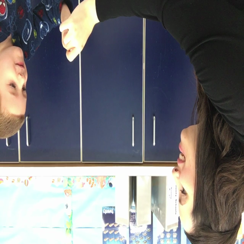 Discrete trial training