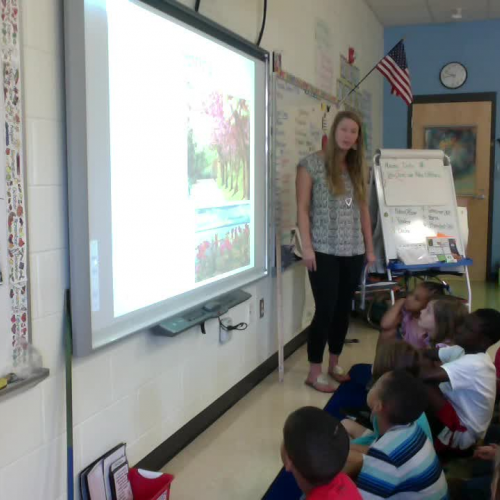 Allison H. Cox teaching video