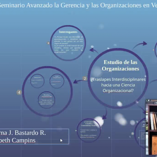 Estudio de las Organizaciones