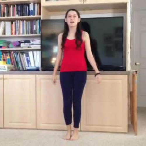 Zoe Nevins- FLVS HOPE- 2.04- Push-Ups